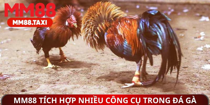 MM88 tích hợp nhiều công cụ trong đá gà