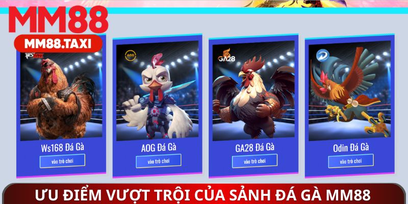 Ưu điểm vượt trội của sảnh đá gà MM88